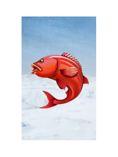 Ice Fishing — Evolution